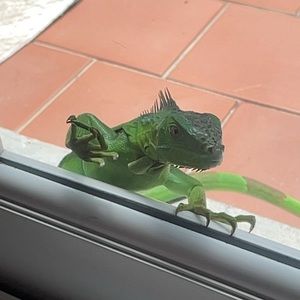 Meet your Posher, Madisyn